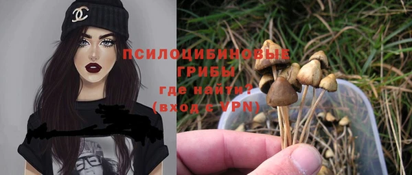 стафф Гусь-Хрустальный