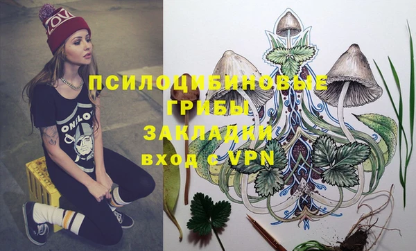 прущие крисы Гусиноозёрск