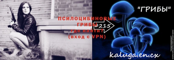 MESCALINE Гусев