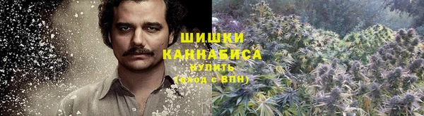 прущие крисы Гусиноозёрск